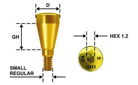 Gingiva Former